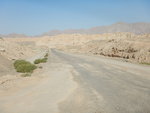 DSCN4635