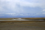 天鵝湖美麗的九曲十八彎(開都河源頭)
IMG_4081
