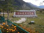 DSCN7650