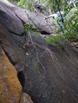 DSCN8903