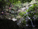 流水岩瀑下層
DSCN5437