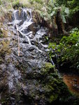 流水岩瀑下層
DSCN5438