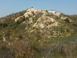 DSCN6884