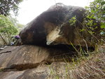DSCN7633
