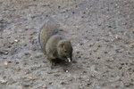 IMG_3398