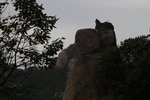 玉免奔月
IMG_3598