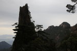 IMG_3603