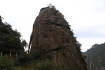 神龍戲松
IMG_3689