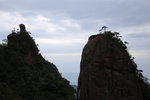 IMG_3700