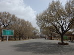11:20去到賽汗塔拉城中草原
DSCN2494