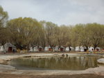 DSCN2521