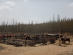 DSCN2542