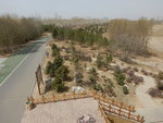 DSCN2555