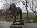 DSCN2714
