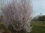 DSCN2721