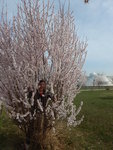 DSCN2723