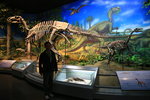 '遠古世界'展廳介紹恐龍等古生物化石,現代動植物,礦產資源
IMG_6180