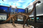 我最感興趣是恐龍化石了,這里保存查干諾尔龍化石是目前已經修復裝架的亞洲白垩紀時期最大的恐龍.
IMG_6189