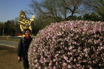 放低行李周圍逛吓,經過人民公園
IMG_6262