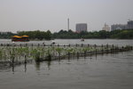 IMG_2680