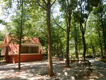 泉城公園前身為濟南植物園,始建于1986年,于1989年9月建成開放,
DSCN5823