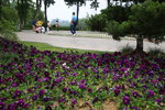 雲龍公園位于徐州巿區王陵路南側,解放前是耶穌教和佛教墓地,1958年建成公園.
IMG_4750