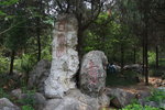 泉山公園自然景觀優美,動植物資源豐富,譽稱為"自然氧吧",全國最大的鳥悅園坐落在公園內.
IMG_4850