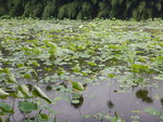DSCN6280