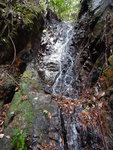 DSCN9728