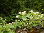 DSCN2709