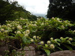 DSCN2711