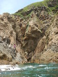 DSCN5368