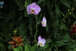 IMG_6839