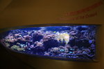 海洋奇觀
IMG_6886