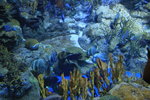 IMG_6902