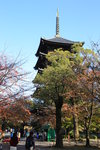 東寺五重塔約55公尺高,是日本最高的木造塔,也是京都的地標,現在塔是由德川家光重建的第5代.
IMG_8046