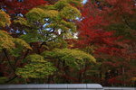 有說:若來到京都只能選擇一間寺廟欣賞秋楓,那不用考慮了,就是永觀堂了!
IMG_8191