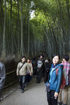 竹林之道經常出現在京都旅遊指南封面上
IMG_8573_