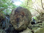 P1180428