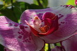 IMG_5709