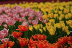IMG_5725
