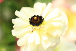 IMG_5737