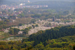 遠望櫻花園
DSC_1056_036