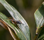 1M5A6609_