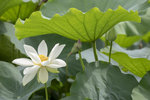 1M5A0030.jpg_