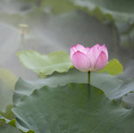 1M5A0093.jpg_