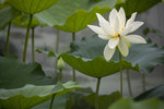 1M5A0100.jpg_
