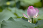1M5A0163.jpg_