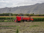 P9232558.jpg_