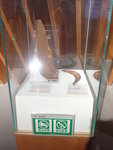 鐵側刀，鐵鐮刀(唐代) PA033791